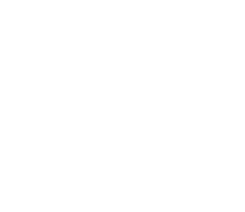 Delta IT Oirschot
